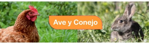 Ave y Conejo